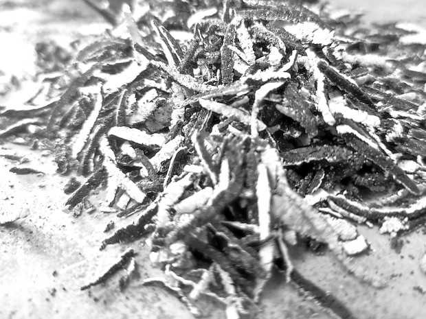 alexandra-ridel-page-contact620 Clay shavings in Alexandra Ridel’s ceramic studio